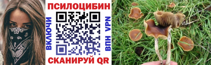 Псилоцибиновые грибы GOLDEN TEACHER Ядрин