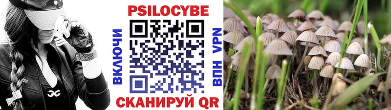 Псилоцибиновые грибы GOLDEN TEACHER Ядрин